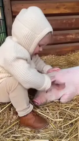 Moja świnka kiełbaska - Będziesz po prostu pyszna. 🐷⚙️🌭 #swinka #kielbaska #smieszne #dzieci