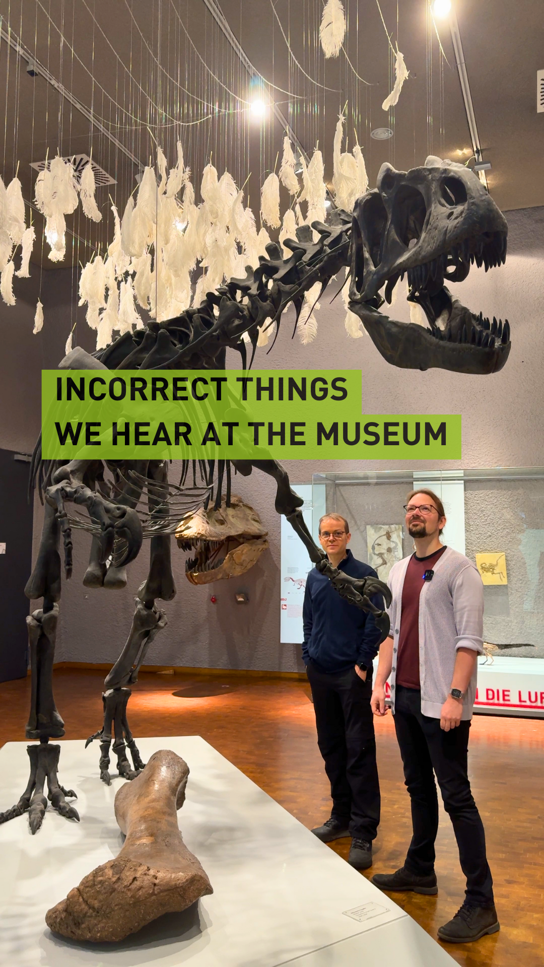 Nicht so ganz korrekte Dinge, die wir in unseren Ausstellungen hören. Aber wir korrigieren immer gerne 😉 📷: SMNS . . . #NaturkundemuseumStuttgart #Naturkundemuseum #Stuttgart #0711 #ImAuftragDerVielfalt #Dinosaurier #incorrectthings #incorrect #Museum