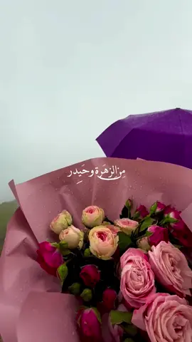.🤍🤍. #مالي_خلق_احط_هاشتاقات 