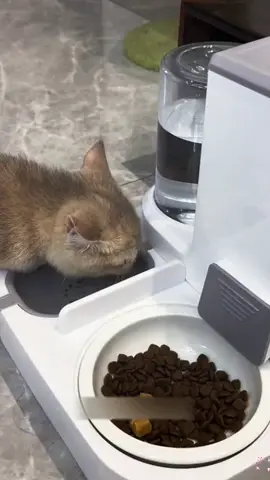 ใหญ่หนึ่งสัปดาห์โดยไม่ต้องเพิ่ม ชามให้น้ำและอาหารสัตว์เลี้ยงอัตโนมัติปลอดภัย เพราะตัวชามไม่ต้องใช้ไฟฟ้าหรือเสียบปลักให้ยุ่งยาก ความจุขนาดใหญ่ใส่อาหารได้ถึงหนึ่งจุดหกลิตรเติม น้ำได้แปดร้อยมิลลิลิตรสามารถอยู่ได้หลายวันไม่ต้อง คอยเติมบ่อยบ่อยมาพร้อมระบบกรองดักเศษฝุ่นเศษ ขนต่างต่างและที่สำคัญราคา