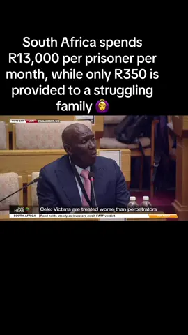 #madlangacommissionofinquiry #mkhwanazi #bhekicele #southafrica #fyp 