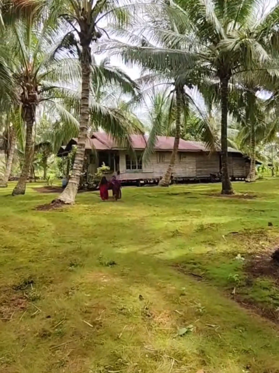 ruma Melayu di kebun kelape #kampungmelayu 