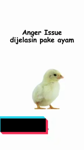 #pakeayam #angerissue 