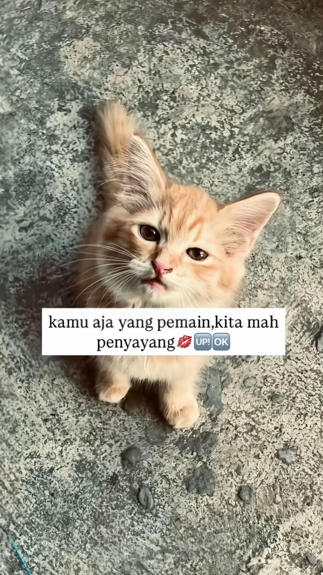 #casualoutfits #adidasoriginals #casualstyle #casual🍋 