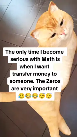 #creatorsearchinsights #funnyvideos😂 #fypシ゚ 