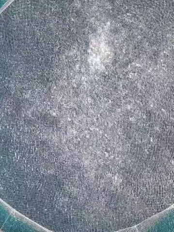 Aerial view of offshore fish cages