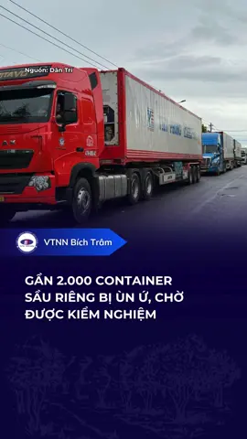 Gần 2.000 container sầu riêng Đắk Lắk bị ùn ứ, chưa thể xuất khẩu do các phòng xét nghiệm dư lượng hóa chất trong sầu riêng đã tạm ngưng hoạt động. #saurieng #sầuriêng #xuatkhau #vtnnbichtram #fypシ゚ 
