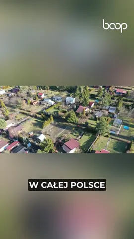 Ilość wniosków dynamicznie rośnie