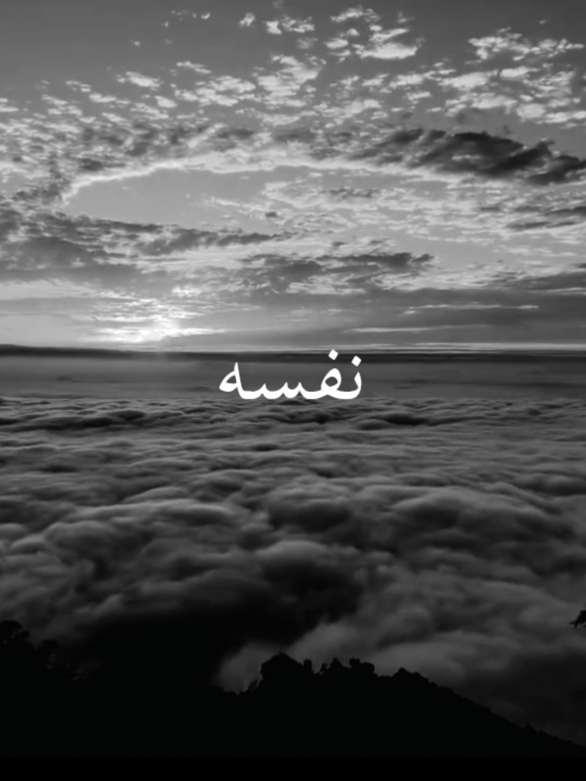 مرات اطلب منك تنسى كريم حسين #كريم_حسين #Sing_Oldies #طربيات_الزمن_الجميل_🎼🎶🎻♥️🌹 #فيديوهاتي_تصاميمي🎶🎬 #هواجيس 