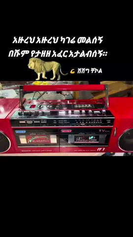 #masinko #zmari #ethiopian_tik_tok🇪🇹🇪🇹🇪🇹🇪🇹 #habeshatiktok #fyp 