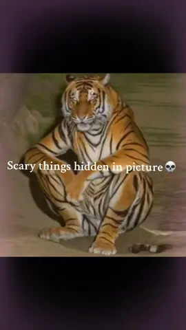 wth who is he #meme #fyp #blowthisup #scary #caught