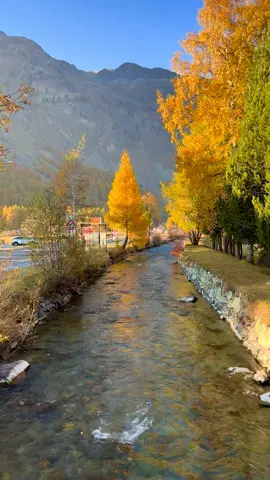 Autumn in Switzerland 🧡 #🇨🇭 #switzerland #swiss #nature #mountains 