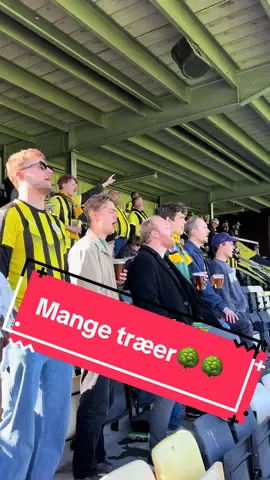 Kampdag! Vi ses klokken 14.00 #championsleague #tingbjerg #fyp #xyzabc #pelé🇧🇷 