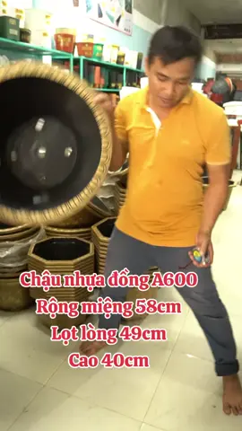 #trending #vattulamvuonbaominh #bonsai #trongrausanthuong #trongrausach 