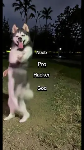 #fup#fyp#viral #dacingdog 