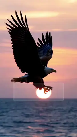 Assalamu'alaikum#fyp 