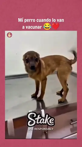 😂😂🥰🥺