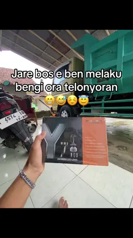 Ready bahan padang” mu bolo😁😁 #foryoupage #truckmaniaindonesia #xyzbca 