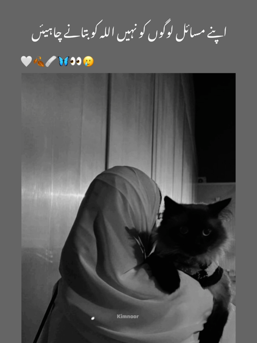 وہ سبق جو میں نے اس سال سیکھے  🥲🩹🤍🍂😌 #unfreezemyaccount  #viraltiktok  #shorts  #armylover  #dontletthisflop  #viewers  #viewsproblem😭  #pleasetiktokteamviralvideo💯  #pleaseunfrezzemyaccount  #🩹🤍 #💜💜💜💜💜💜💜💜 