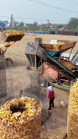 This Corn Tower Costs $2 😳 #farming  #farmlife #harvest #foryoupage #Knowledge