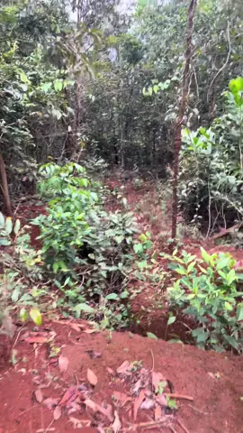 Gặp nhau rồi thật khó lìa xa😂😂😂#garung #hieunguyen1987 