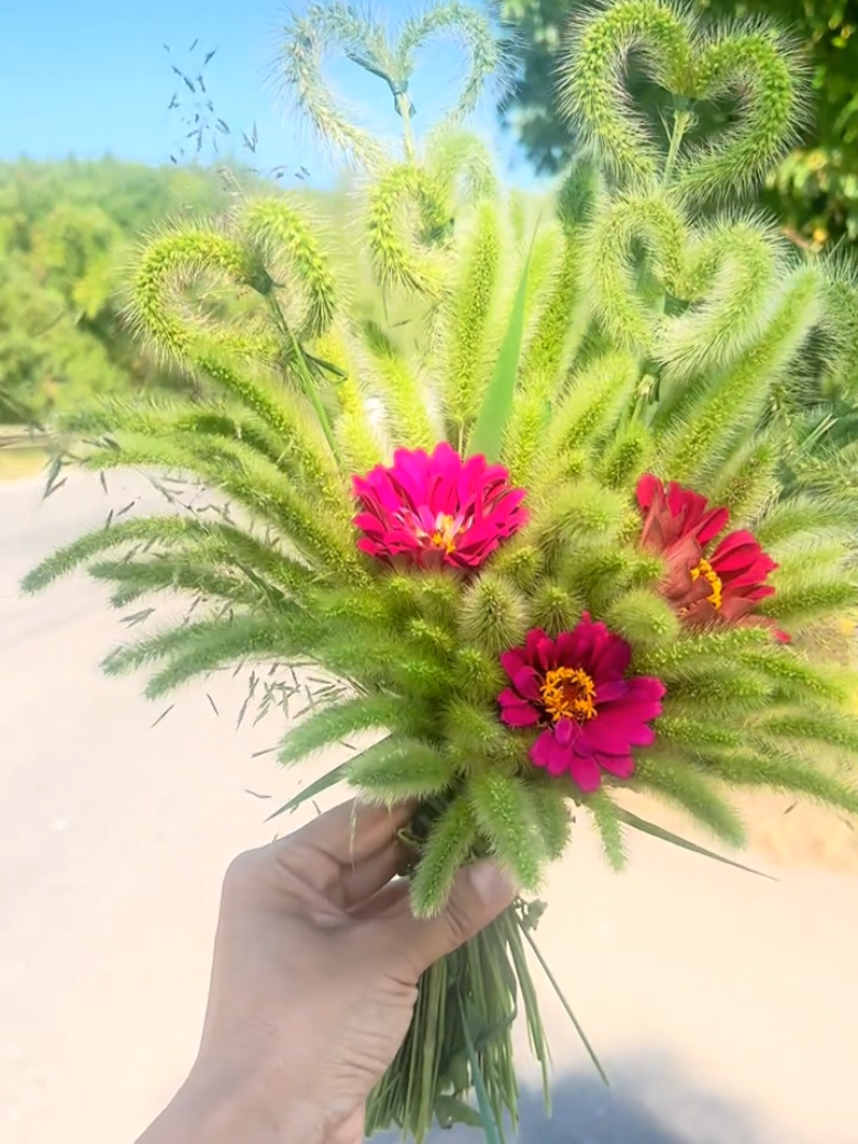 ngày đầu xây kênh . mọi người ơi cùng nhau phát triển kênh tiktok nhé #ngaydauxaykenh #ngàyđầuxâykênh #nguoimoilamtiktok #hanhtrinhxaykenh #nguoimoixaykenhtiktok 