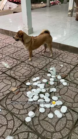 Lại là cái tướng đứng giả trân đó🙂🙂#bu 