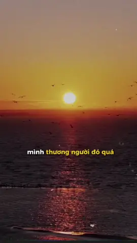 Khi bạn làm tổn thương một người tử tế, bạn sẽ không thấy ngay những phản ứng nóng giận, không thấy những hành động trả đũa hay những lời chỉ trích vội vàng. Những người này sẽ không cất tiếng lên, sẽ không tranh cãi hay buộc tội. Họ chỉ lặng lẽ chấp nhận, mang nỗi đau ấy trong lòng và thể hiện sự ấm áp, lòng trắc ẩn vốn có. Tuy nhiên, trong sâu thẳm, một điều gì đó đã thay đổi. Niềm tin mà họ dành cho bạn, tình cảm mà họ đã dành, sẽ không còn nguyên vẹn như trước. Đó là một sự thay đổi âm thầm và tinh tế, nhưng lại sâu sắc và không thể thay đổi được.#tonthuong 