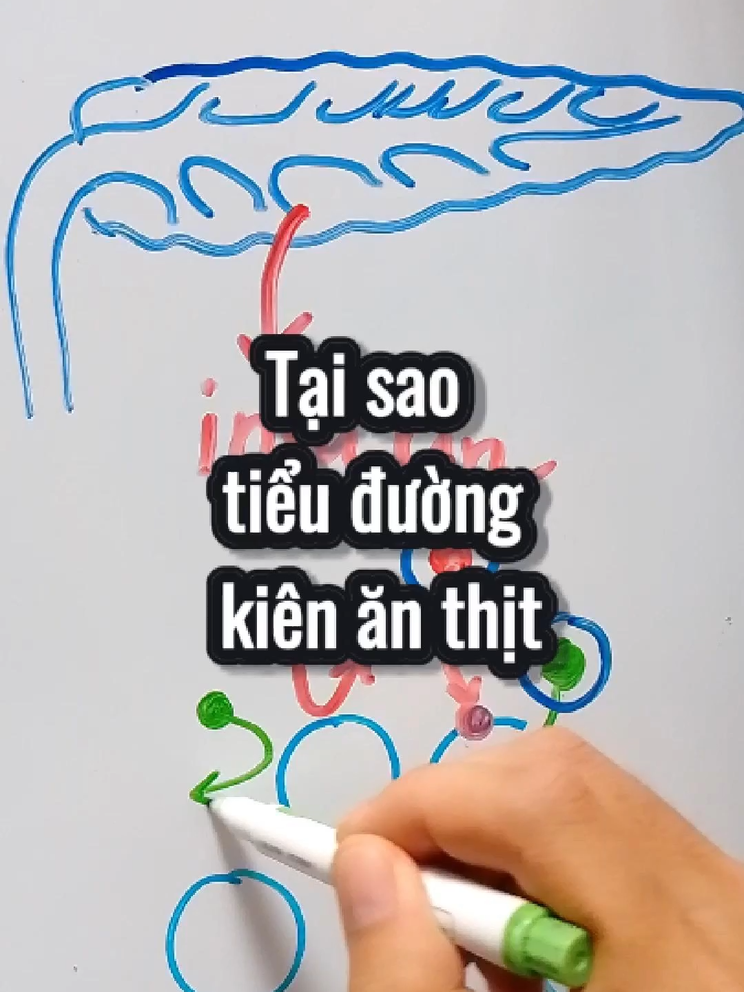 File sách dài 50 mấy trang ở trên link đầu trang tiktok của mình. Cảm ơn bạn đã quan tâm. #kienthuc #chiasekienthuc #suckhoe #thanhcong #hanhphuc #hyvong #chienbinh #ductin #tinhyeu #tieuduong #insulin #daiduong #khanginsulin #thit #protein #duong #anuong #baove #anchay #viem