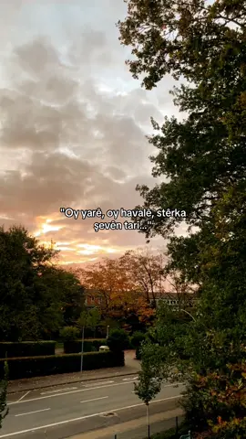 #fyppp #fyyyy #kürtçeşarkılar #keşfetbeniöneçıkar #keşfet 