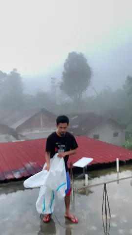 #mantelhujan #jashujan 