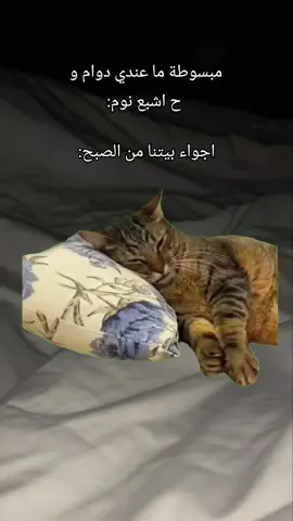 #fy #fyp #viral #MemeCut #الشعب_الصيني_ماله_حل😂😂 