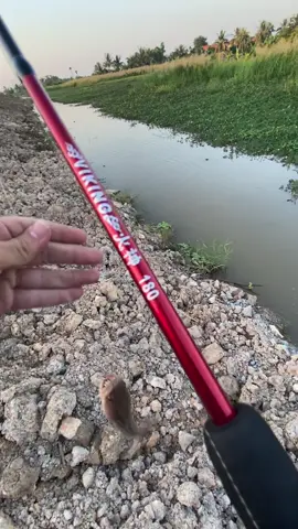 Test cần viking hoả thần🐠#canlure #lure #caucagiaitri #xh #ducmanhfs318 