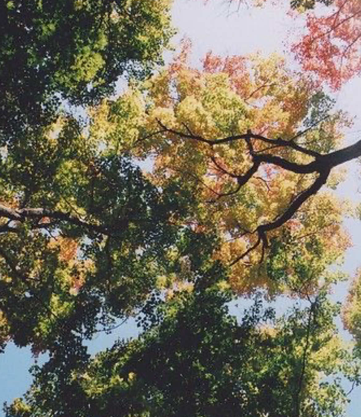 all these places waiting for us #nature #life #moodboard #dream #fyp 