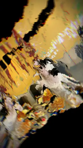 anh chi thich map mo 😠