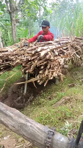 dalane mbleset koyok janjimu😂 #tebubalap #tebumanis #jetcolled #suzuki 