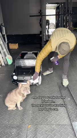 I was here first dad. #frenchiesoftiktok #dogsoftiktokviral #dogsoftiktok #frenchbulldog #gwagon 