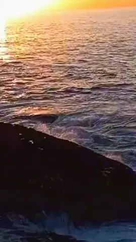 #في هذا اليوم 