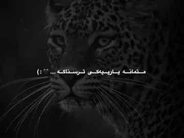 🐆#mzuri #barzani #iraq #tiktok #everyone 