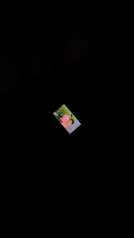 @🐸🥀জাতির পিচ্চি ভাইয়া 🍒🇮🇹 #🥰🥰🥰🥰