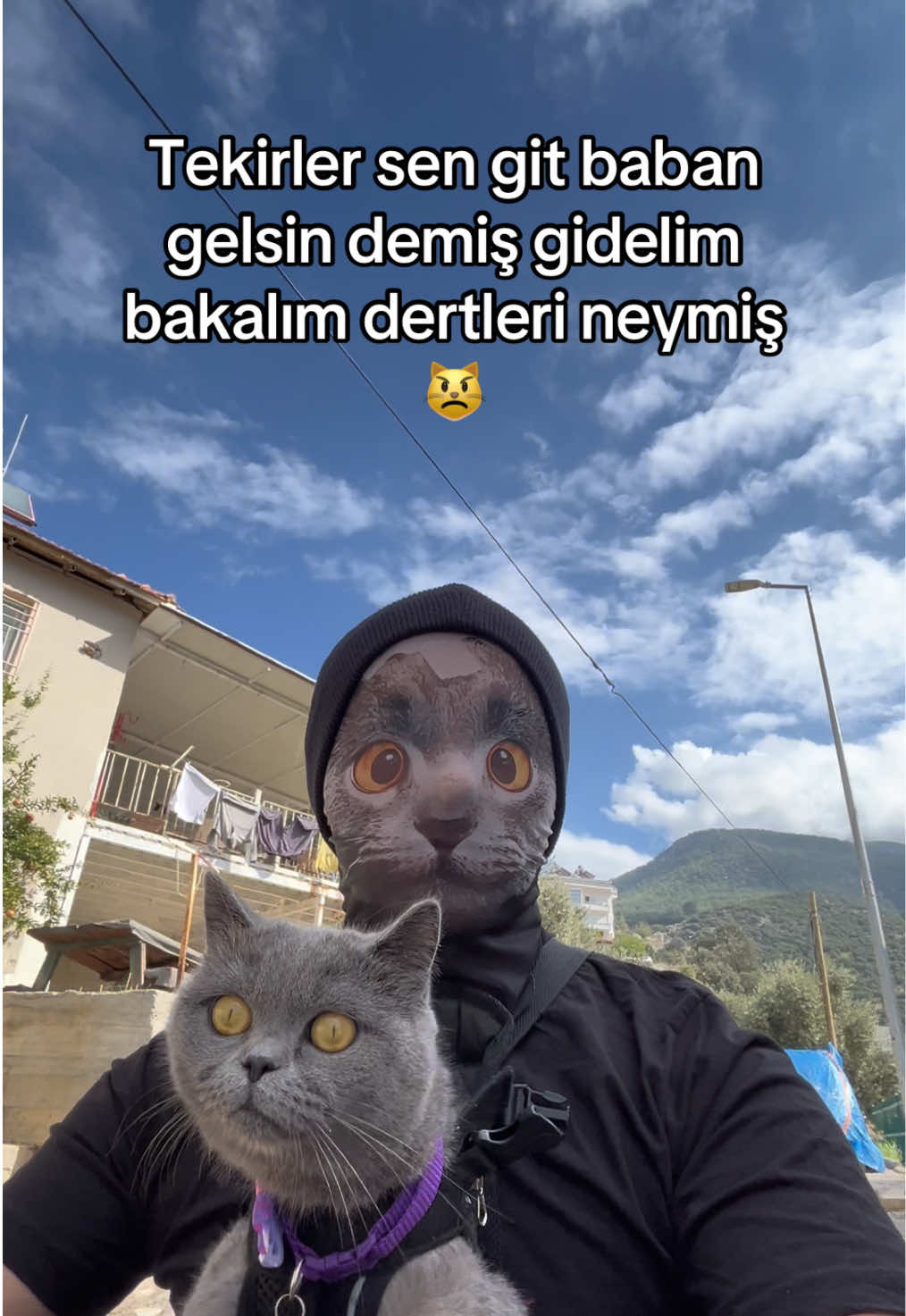 Gofret tek siz hepiniz 😂 #catlover #funnycat #cat #catlovers #viral 