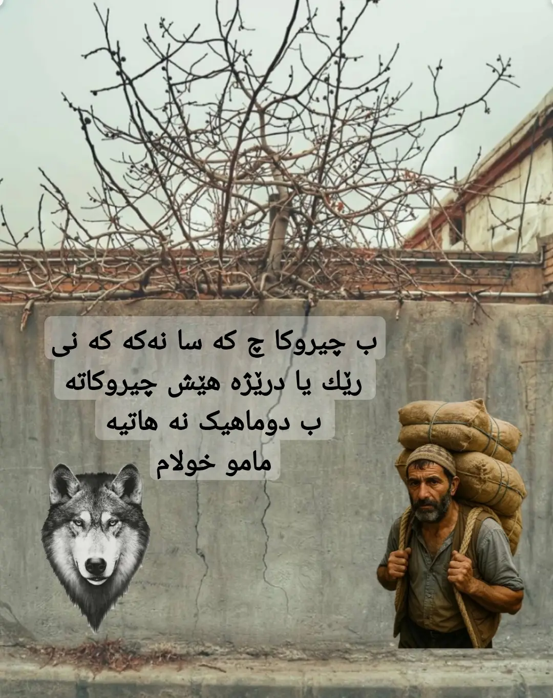 ب چیروکا‌ چ که سانه‌که که نی رێك یا درێژه هێش چیروکاته  ب دوماهیک نه هاتیه  مامو خولام