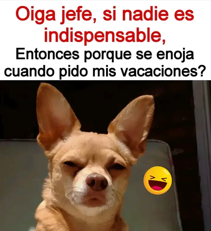 #memesdetrabajos #memesvirales😂😂 #fipシ #MemeCut 