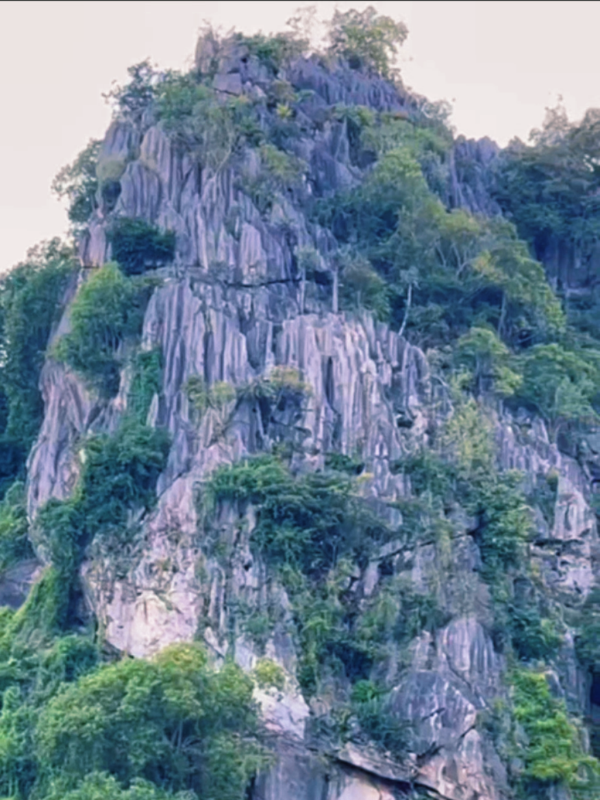 ទស្សនា ទេសភាពអមដោយបទចម្រៀងបាសាក់ ពីស្រុកបន្ទាយមាសខេត្តកំពត 