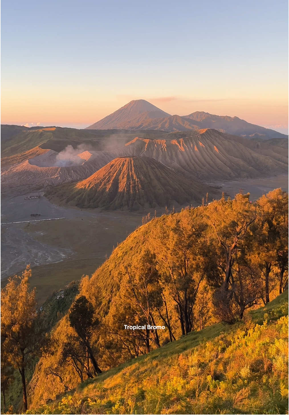 Spot kayu di Bromo favorit kalian nih 😍 #bromotrip #bromotenggersemeru #bromomountain #privatetripbromo #bromotourpackage 