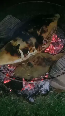 bakar ikan bestie yuk makan.. ..  #ikanbakar  #makanbesar  #kuliner  #bakar 