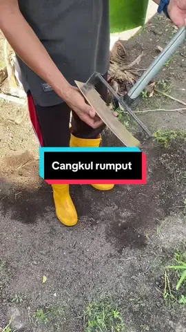 Cangkul garuk rumput #cangkulrumput #cangkulgulma #trendiing #tiktokafiliate 