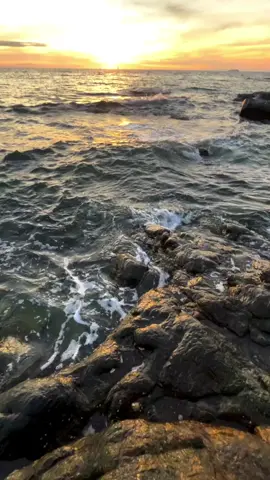 🙇🏻‍♂️#เธรดเพลง #fyp #ยืมลงสตอรี่ได้ #ความรู้สึก #ทะเล 