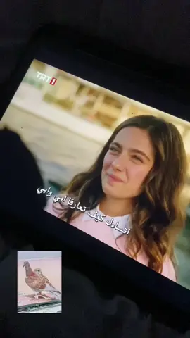 اخ ابي اشوف رياكشنهم يوم يعرفون 😭😭#هذا_البحر_سوف_يفيض #الحمامه_جنبك 