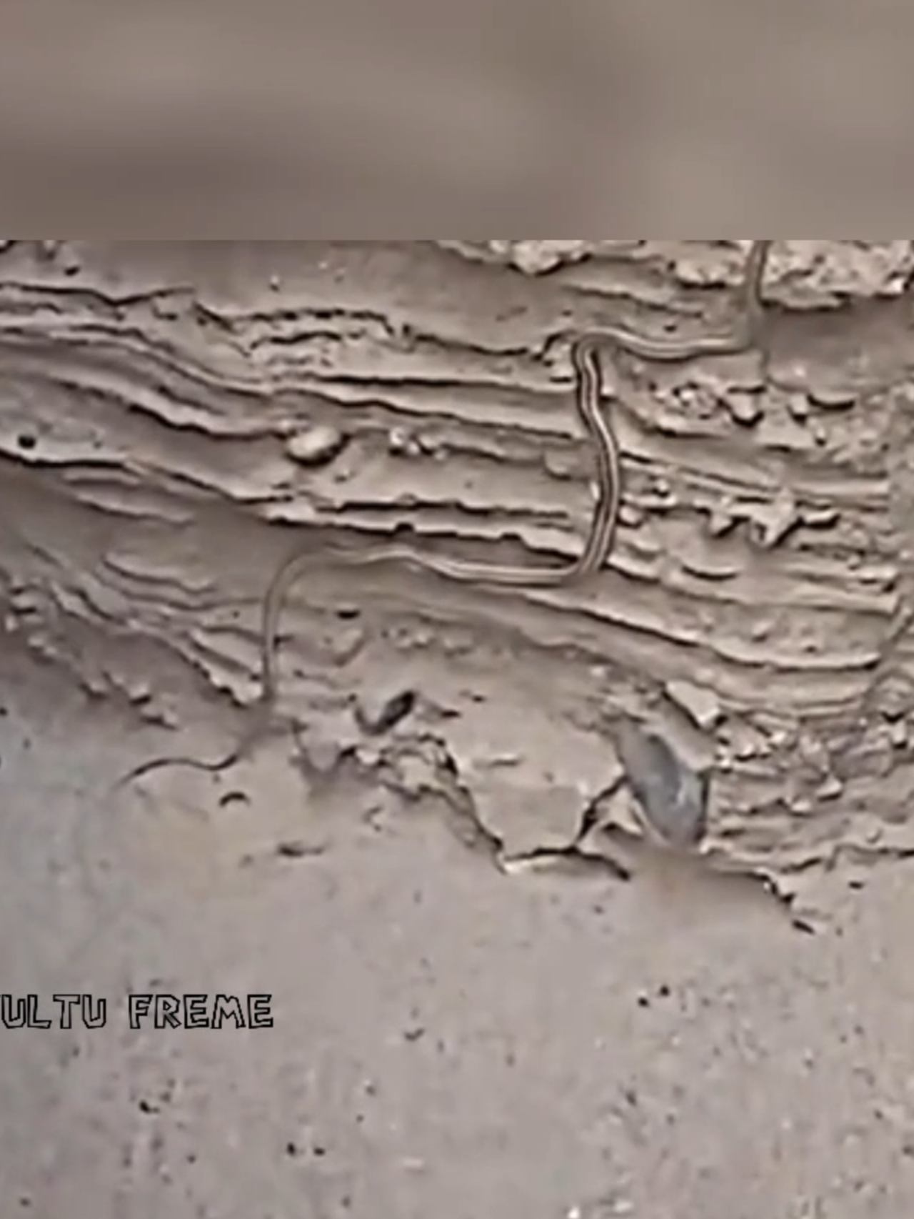 Ya Allah..😰 #viral #viraltiktok #trending #mrfultufreme #viralvideo #foryou #video #ইসলামিক_ভিডিও #quran_kareem #qurantilawat #sadvibes #mrfultu